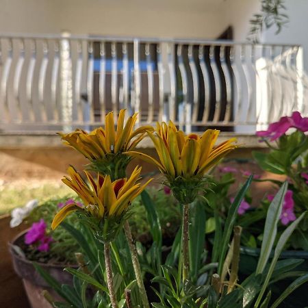 Apartment Ika Baska  Luaran gambar