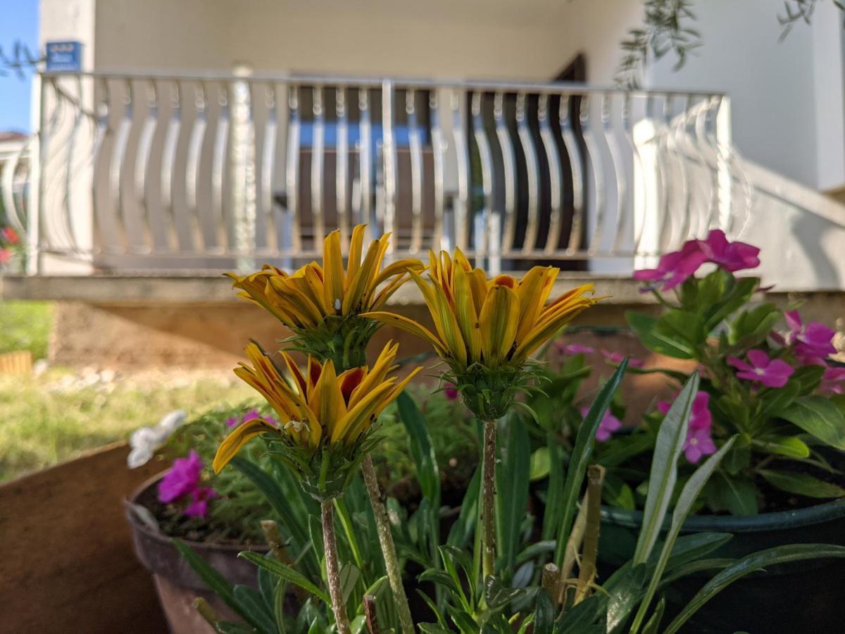 Apartment Ika Baska  Luaran gambar